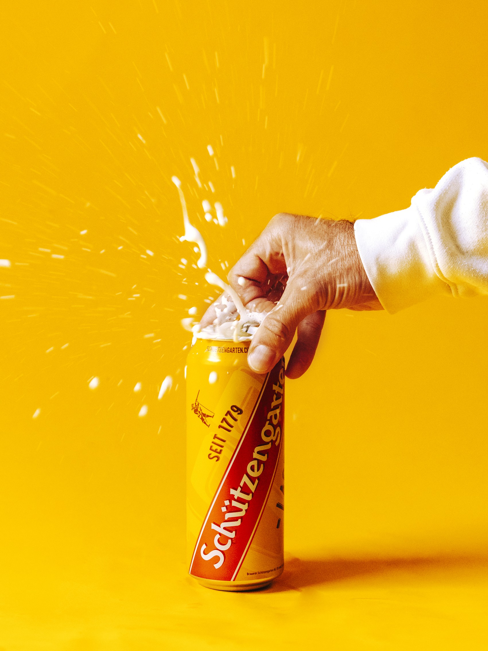 Cover-Bild Projekt Schützengarten – Lager