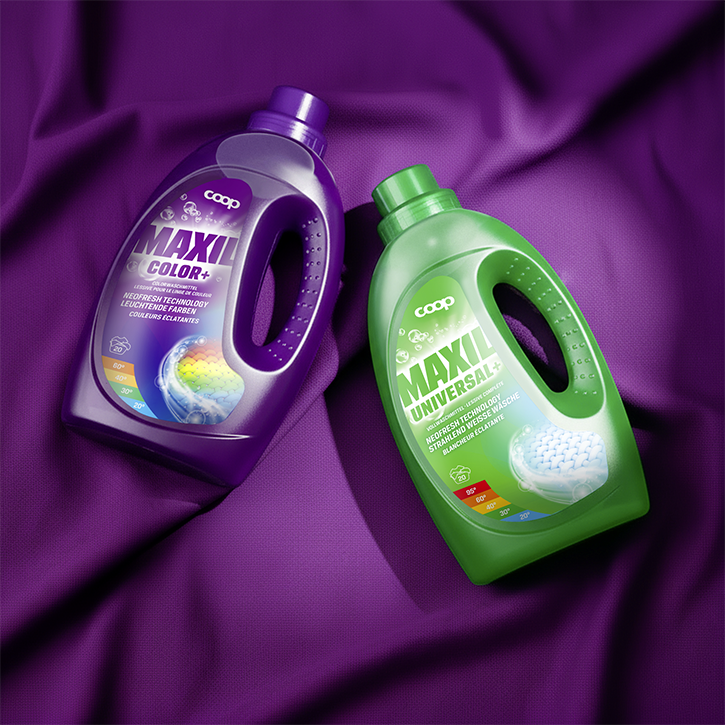 Cover-Bild Projekt Maxil