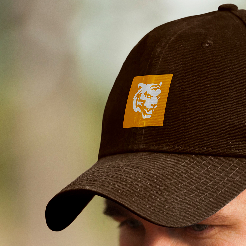 Cover-Bild Projekt Farmtiger