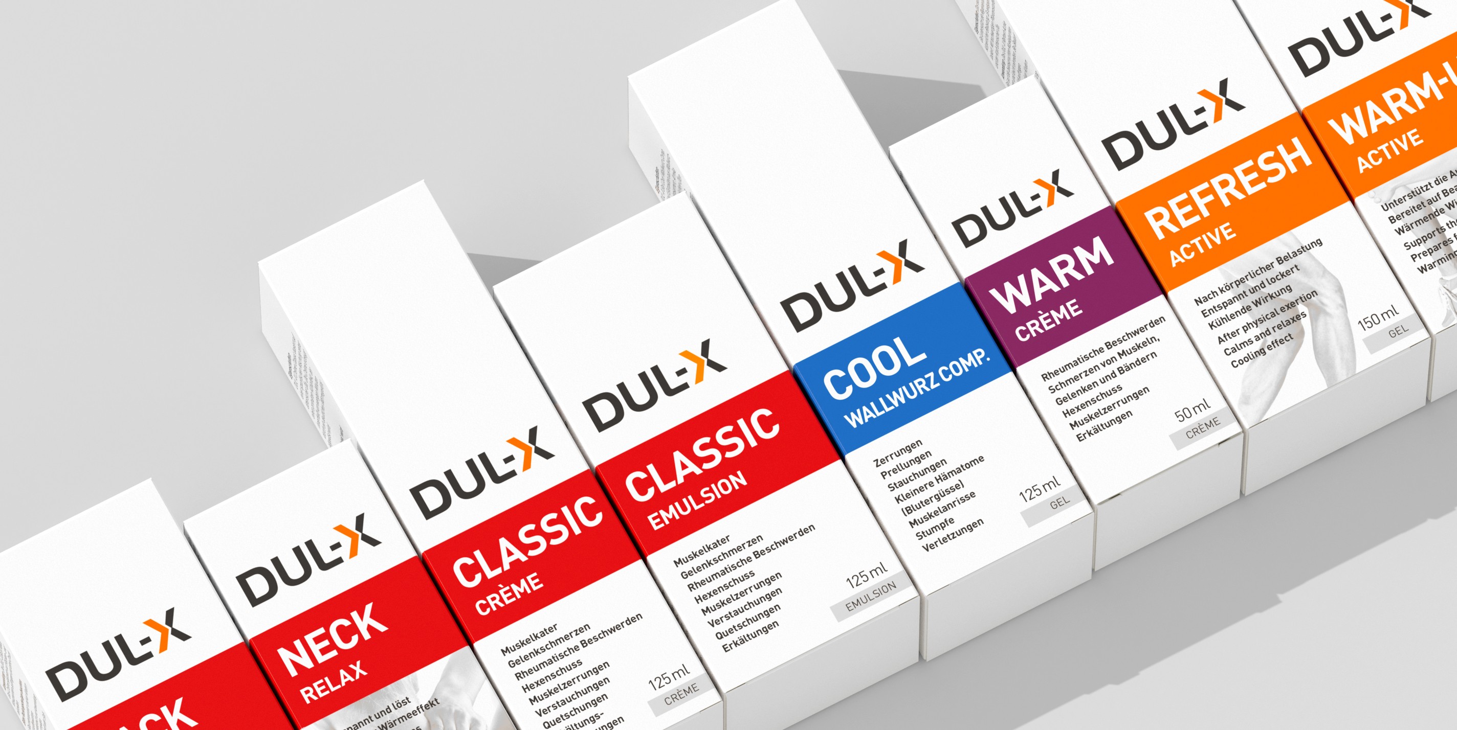 Cover-Bild Projekt DUL-X