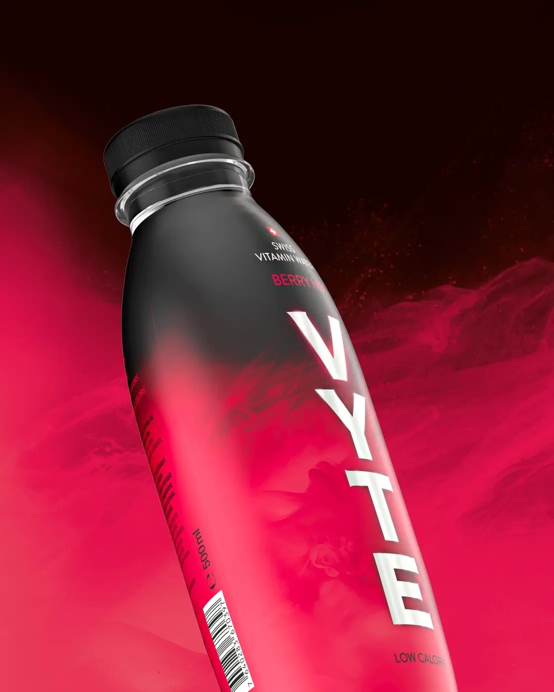 Cover-Bild Projekt Vyte