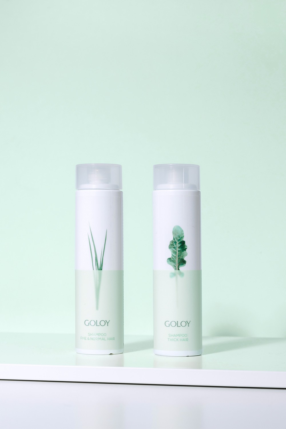 Cover-Bild Projekt Goloy